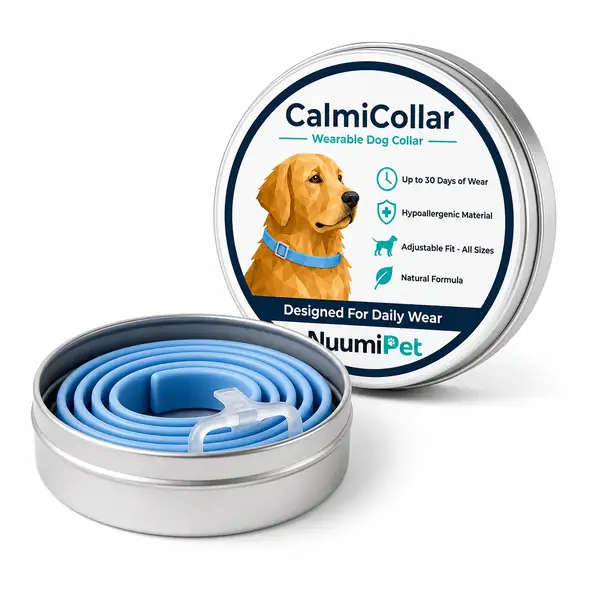 Single CalmiCollar tin with a coiled blue collar