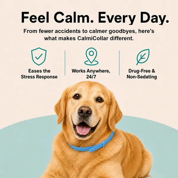 Seller graphic of a golden retriever wearing CalmiCollar with its listed features
