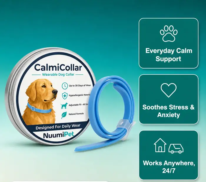 CalmiCollar tin and blue band next to three feature labels